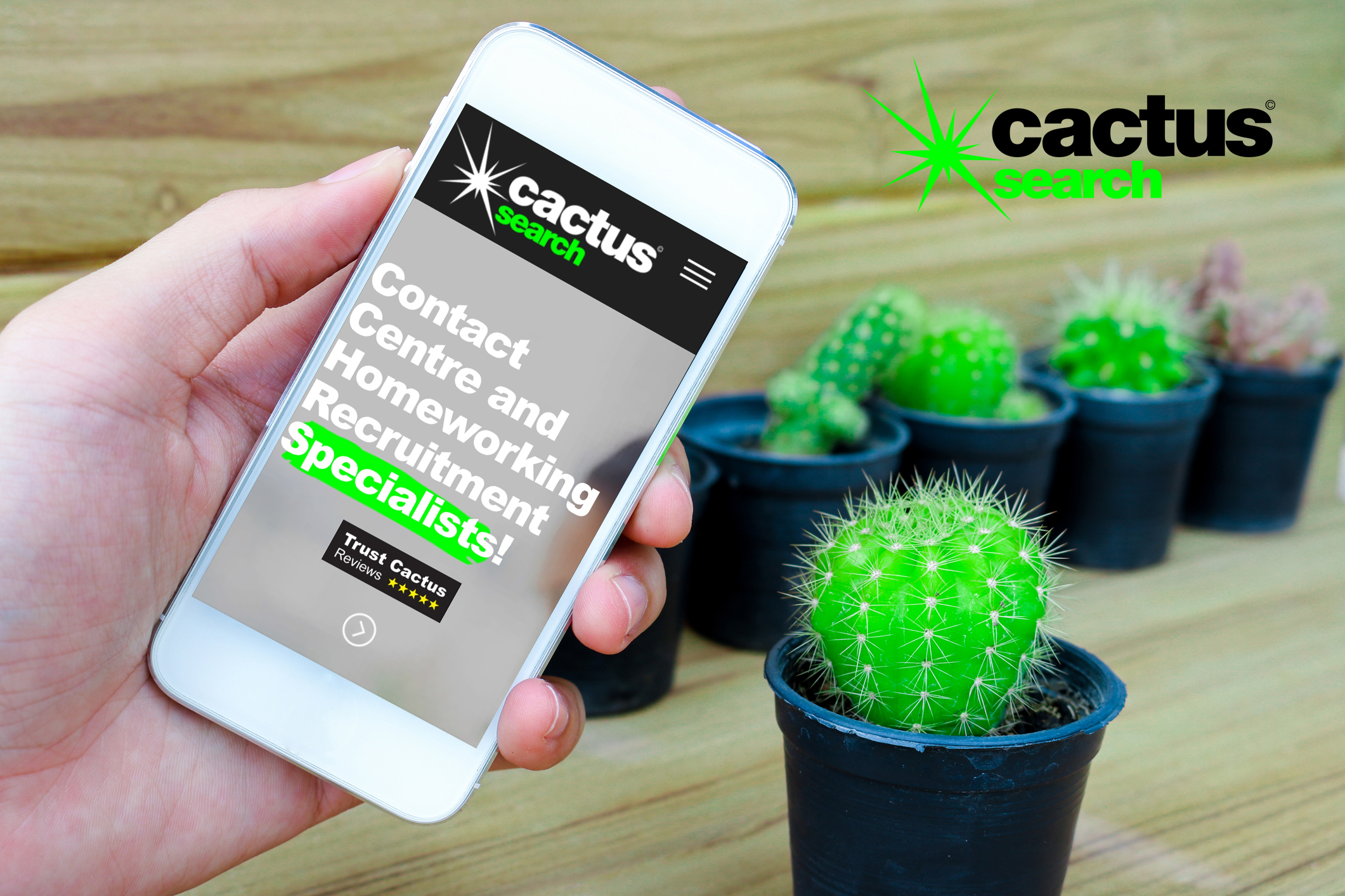 Cactussearch